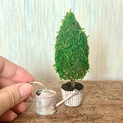 アンティークな観葉植物とジョウロのセット　ミニチュア 1枚目の画像