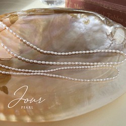 天然淡水パール ライスパール チョーカー/ネックレス 普段使い シンプル 真珠 14KGF カジュアル 1枚目の画像