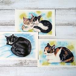 ポストカード猫パステル画３枚セット　〈クロ＋子猫たち〉 1枚目の画像