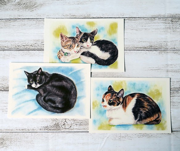 ポストカード猫パステル画３枚セット　〈クロ＋子猫たち〉 1枚目の画像
