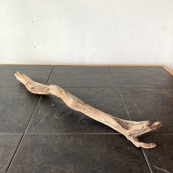 古代のヘビのような流木 63㎝ 【雑貨素材・インテリア】 №12 木材・板