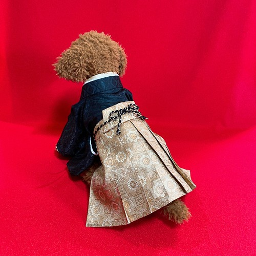 犬の袴✨犬用本格着物&袴セット 金襴 わんこ着物 黒×金 犬服 ペット服