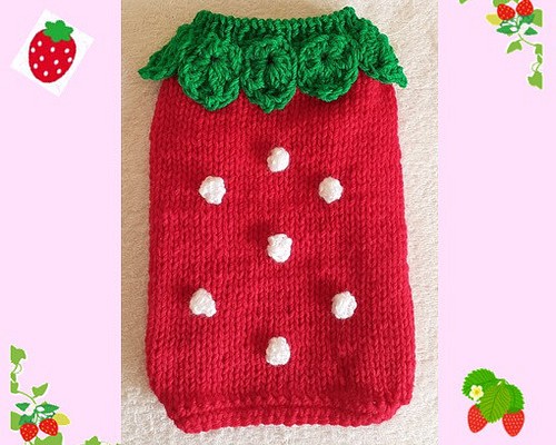 犬服セーター いちごのセーター赤 小型犬 猫ちゃん用 送料無料 is01