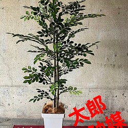 光触媒 人工観葉植物 ウォールグリーン フェイクグリーン ウンベラータ144-