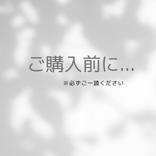 ★★購入前にご一読お願いします★★