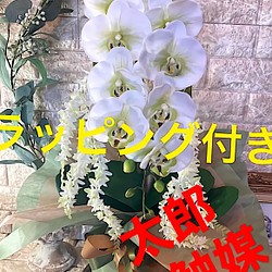 光触媒　人工観葉植物　ウォールグリーン　フェイク　フラワー　リアル胡蝶蘭wg