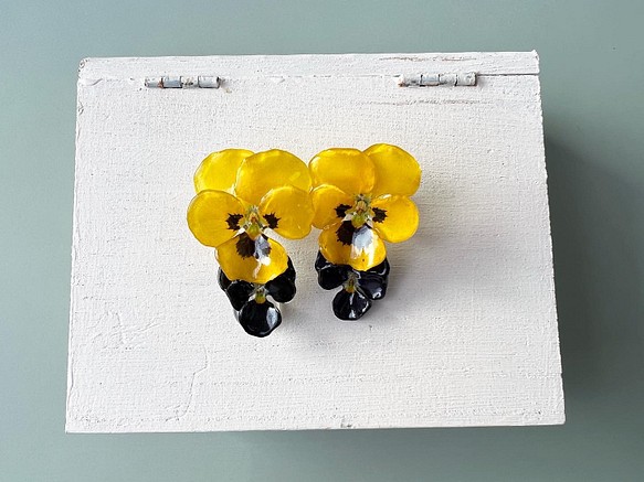 本物の花 ビオラのピアス〈yellow×black〉 1枚目の画像