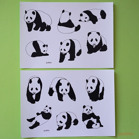 防水海豹熊貓 3（A5 尺寸 x 2） 第1張的照片