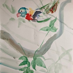 水彩画　鳥園-aoi-イキルカタチ 1枚目の画像