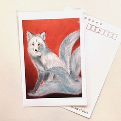 ２０１　選べるポストカード　天狐　5枚セット 1枚目の画像