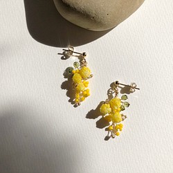 [and.story]mimoza（ミモザピアス&イヤリング） 1枚目の画像
