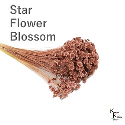 《Earth Farm Star Flower Blossom Mauve Pink 1 Bundle》小花乾花植物標本香薰蠟條 第1張的照片