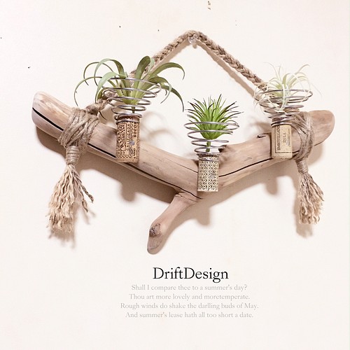 〜Drift Design〜　綺麗め味わい流木のお洒落な多用途３連コルクホルダー