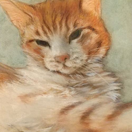 油絵　油彩画　猫　オリジナル油彩画