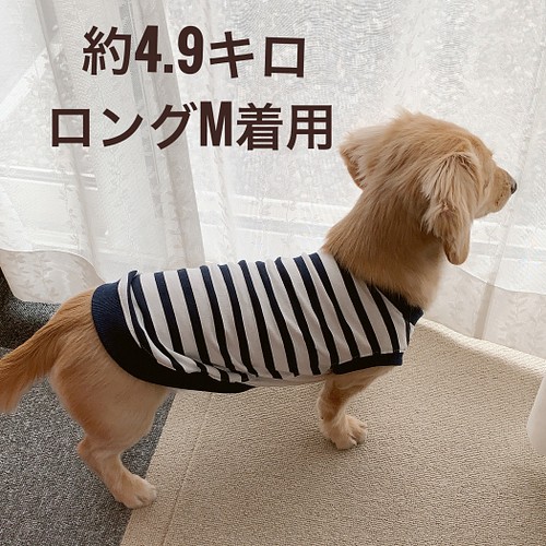 ミニチュアダックス服 3サイズ タンクトップ ネイビーボーダー 犬用