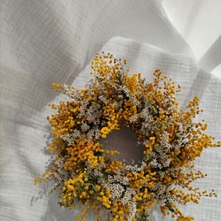 春色ミモザのドライフラワーリース リース cocosana dryflower 通販｜Creema(クリーマ) 15526849