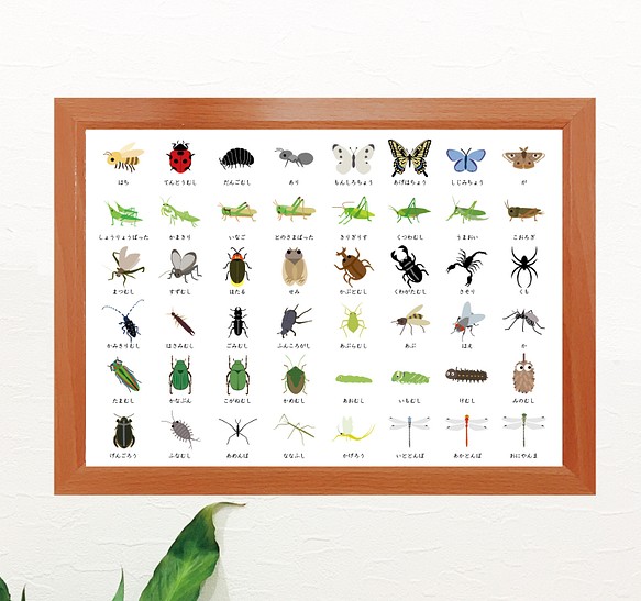 虫、昆虫知育ポスター 1枚目の画像