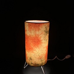 和紙のランプ 1枚目の画像