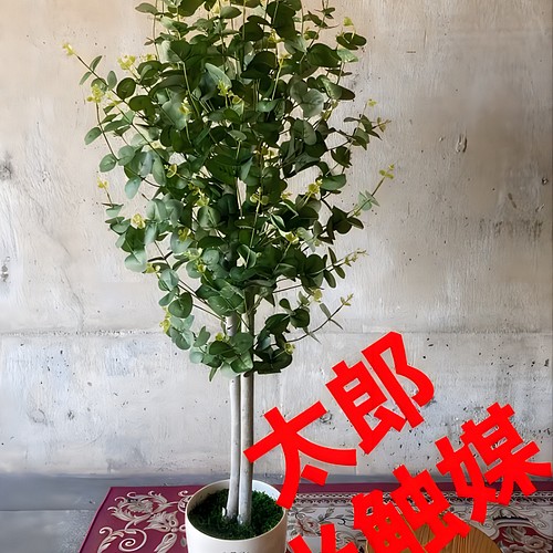 限定数のみ！ 光触媒 人工観葉植物 ウォールグリーン フェイクグリーン