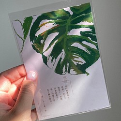 【ポーストカード】Leaf of healing　癒しの葉　（モンステラ） 1枚目の画像