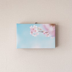 キャンバス風アートパネル　桜 春の風景　ファブリック調インテリア　写真のある暮らし 1枚目の画像