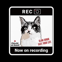 「ドラレコ録画中」愛猫ステッカー作れます！【オーダーメイド】送料無料！ うちの子 オリジナル 制作者におまかせ 1枚目の画像