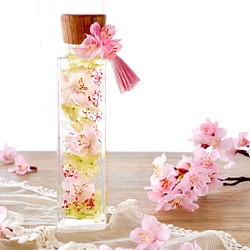 桜のハーバリウム（角瓶） 1枚目の画像