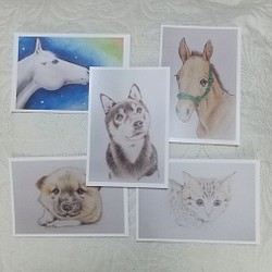 「動物の絵のポストカード５枚セット」 1枚目の画像