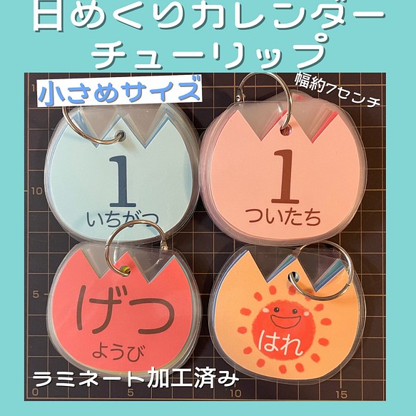 小サイズ】わかりやすい☆見やすい☆日めくりカレンダー☆チューリップ