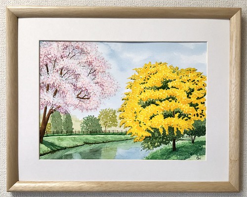 透明水彩画 水彩画 「桜の咲く並木道」額縁付 F4サイズ 原画 
