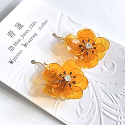 オレンジ色の八重の花のピアス/イヤリング 1枚目の画像