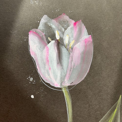 一輪のチューリップの花 ーb 【A3 原画】 絵画 Denny Horimizu 通販