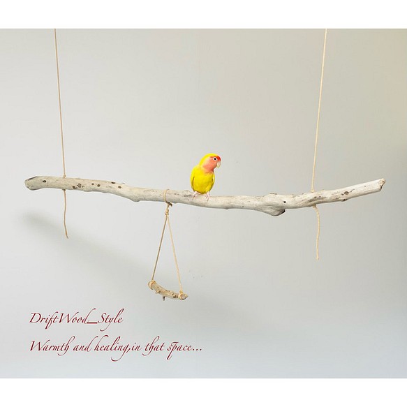 流木インテリア  シンプルな天然流木の小鳥の止まり木 吊り下げタイプ インコ 鳥 ブランコ 自然木 No.6 1枚目の画像