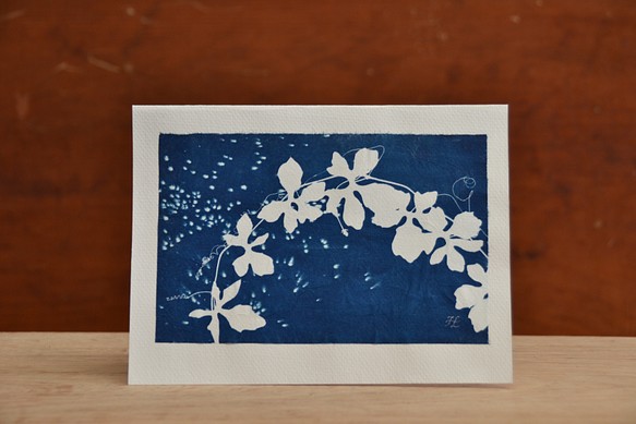 植物のシルエット。サイアノタイプ カード (封筒付き) ボタニック サイアノタイプ カード (封筒付き) 1枚目の画像