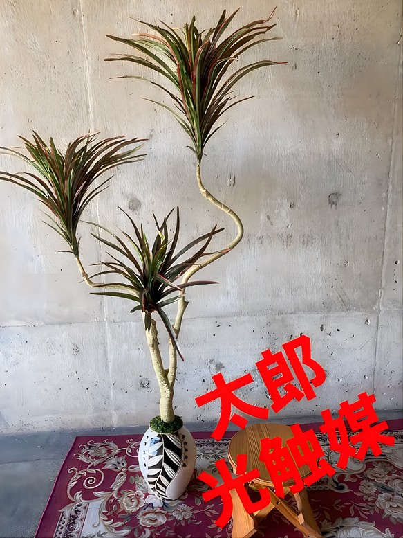 光触媒 人工観葉植物 ウォールグリーン フェイクグリーン コンシンネ