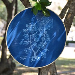 植物剪影。藍曬掛飾 Botanic Cyanotype Decoration 第1張的照片
