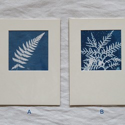 植物のシルエット。植物シアノタイプ額入りアートピース 1枚目の画像