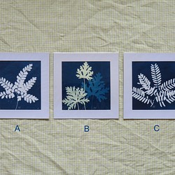 植物剪影。藍曬框畫 Botanic Cyanotype Framed Art Piece 第1張的照片