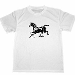 馬　ドライ　Tシャツ　２　競馬　乗馬　ウマ　グッズ　午年　干支　サラブレッド 1枚目の画像