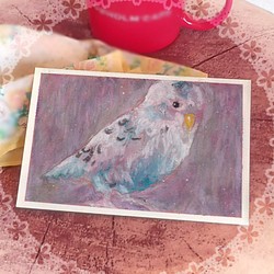 1点限り原画販売！お部屋に幸せを運ぶ絵画】「ほっこりインコ」 葉書