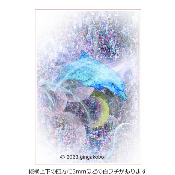 「流星になって」 月 星 イルカ　ほっこり癒しのイラストポストカード2枚組No.050 1枚目の画像