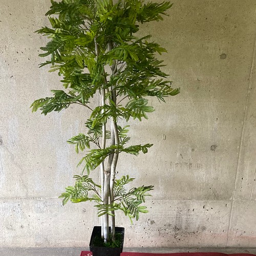 光触媒 人工観葉植物 ウォールグかリーン フェイクグリーン