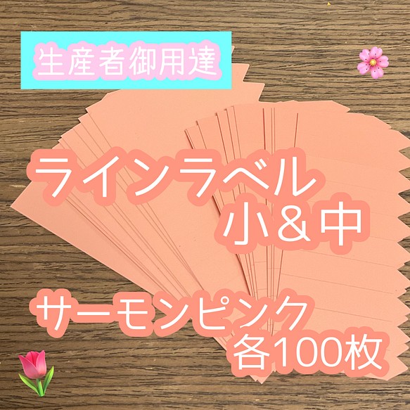 ラインラベル 小＆中セット 肌 各100枚 園芸カラー 多肉植物