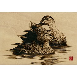 Waterfowls〈s1〉　木材の焦げ色の濃淡で表現した絵画作品 1枚目の画像