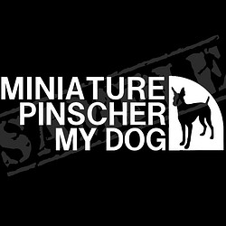 MINIATURE PINSCHER MY DOG ステッカー（ミニチュア・ピンシャー/立ち耳）5.5cm×17cm 1枚目の画像