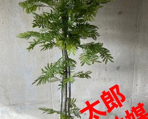 国内外の人気集結！ 光触媒 人工観葉植物 ウォールグかリーン フェイク