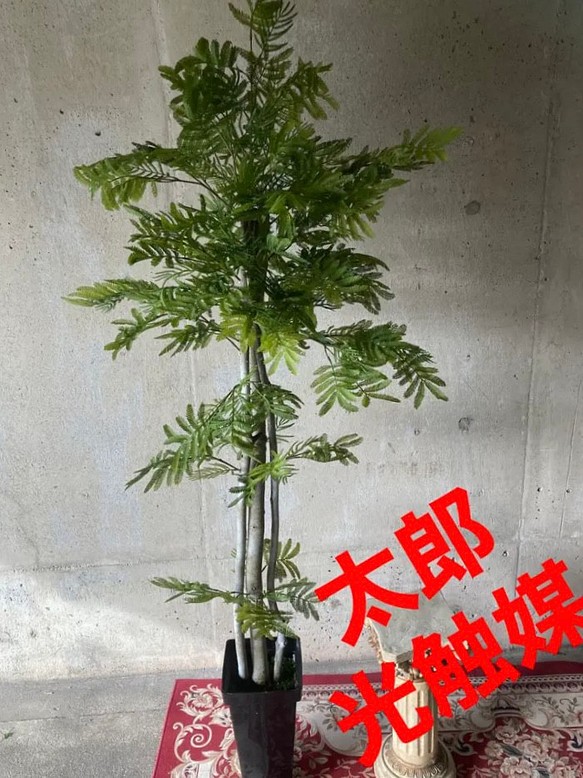 日本製・綿100% 光触媒 人工観葉植物 ウォールグかリーン フェイク