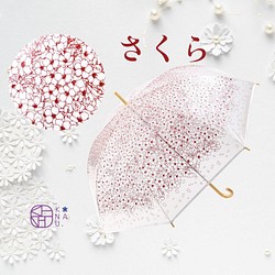 おしゃれなビニール傘　さくら　-kanauオリジナルデザイン透明傘- 1枚目の画像