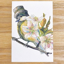 水彩画野鳥ポストカード3枚セット 1枚目の画像