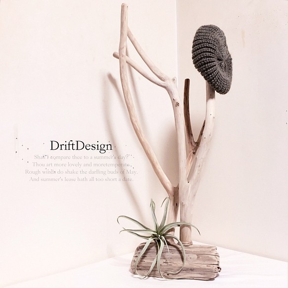 〜Drift Design〜　キレイめ流木のお洒落な大型デザインポールハンガー